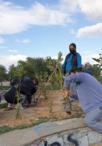 tree_planting_We4All