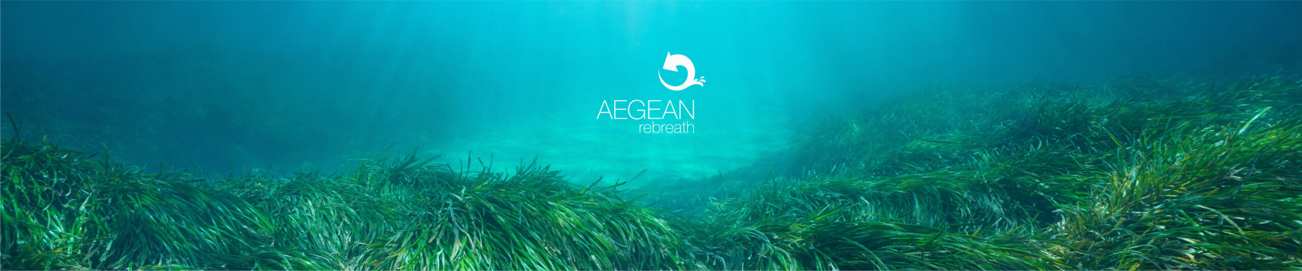 Aegean Rebeath Teleperformance